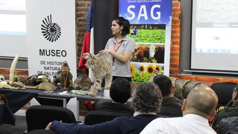 Presentación, abordada por la encargada de colecciones CITES en el MHNV, Camila Figueroa.