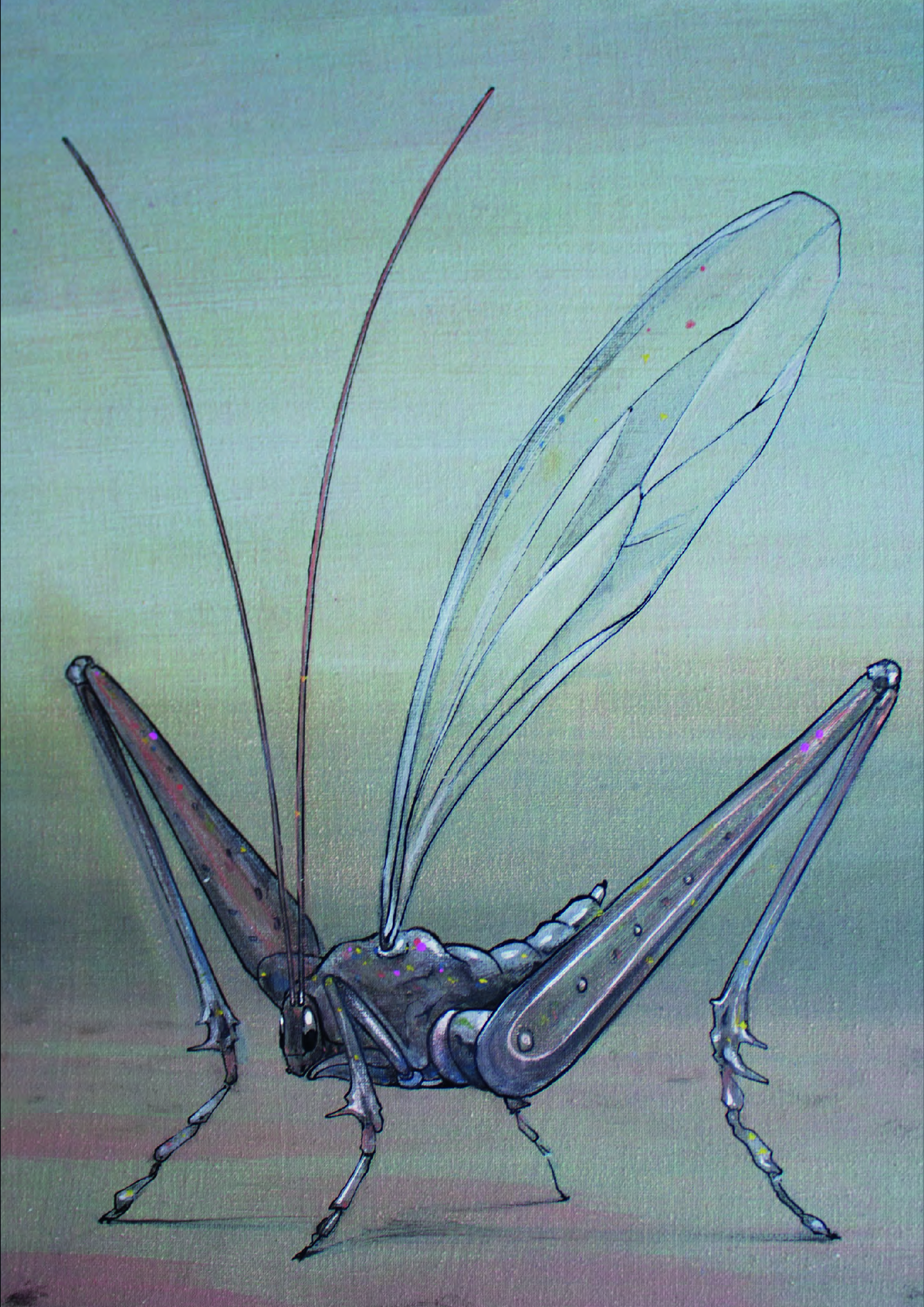 Insectos Imaginarios