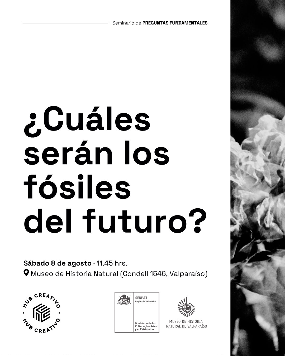 ¿Cuáles serán los fósiles del futuro?