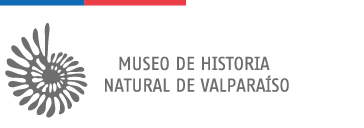 Museo de Historia Natural de Valparaíso