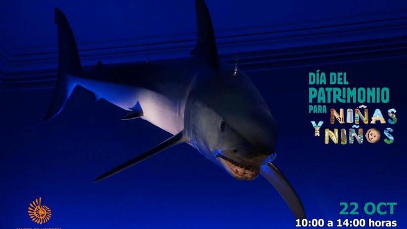 Día del Patrimonio para Niñas y Niños 2017 Museo de Historia Natural de Valparaíso, presenta una especial programación desde las 10:00 hasta las 14:00 horas