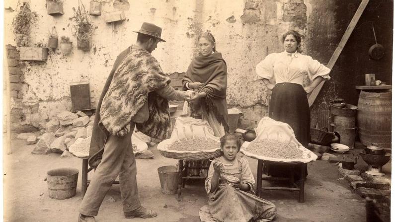 La muestra virtual, se inaugurará este 19 de agosto en el Museo de Historia Natural de Valparaíso (MHNV) en el marco de las actividades de conmemoración del Día Mundial de la Fotografía