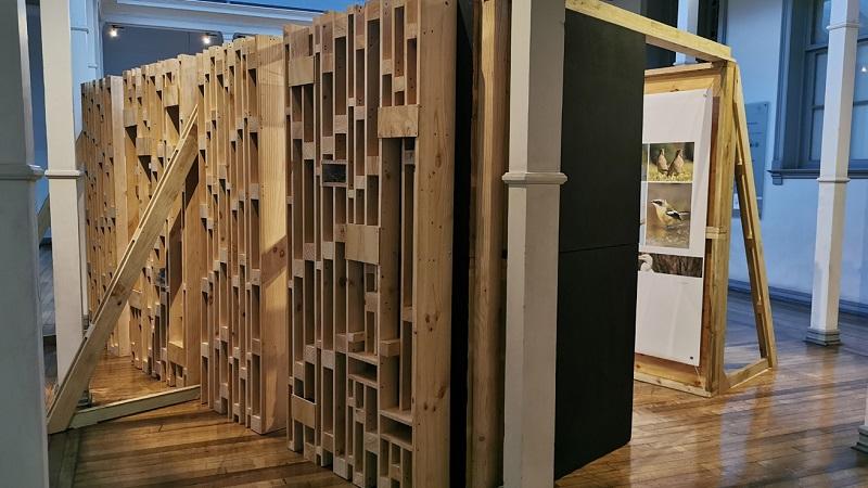 Arquitectura en cohabitación. La construcción formal del diálogo entre el ser humano y la naturaleza"