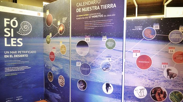 Fósiles: un mar petrificado en el desierto