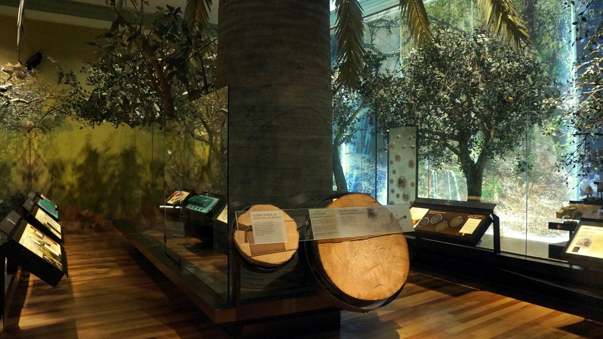Sala la Campana