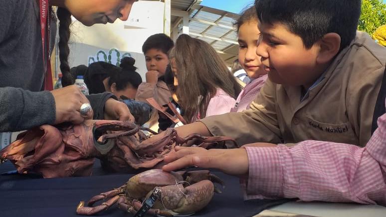 Niños y niñas disfrutando del stand del MHNV en la Feria Científica Escolar del Colegio Sagrada Familia de Nazareth