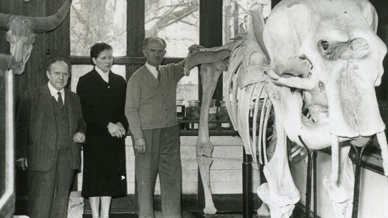 Personajes históricos en la promoción de la revista Anales del Museo de Historia Natural de Valparaíso, en la imágen John Juger junto a Nina Ovalle y José Carpeneto (MHNV 1968)