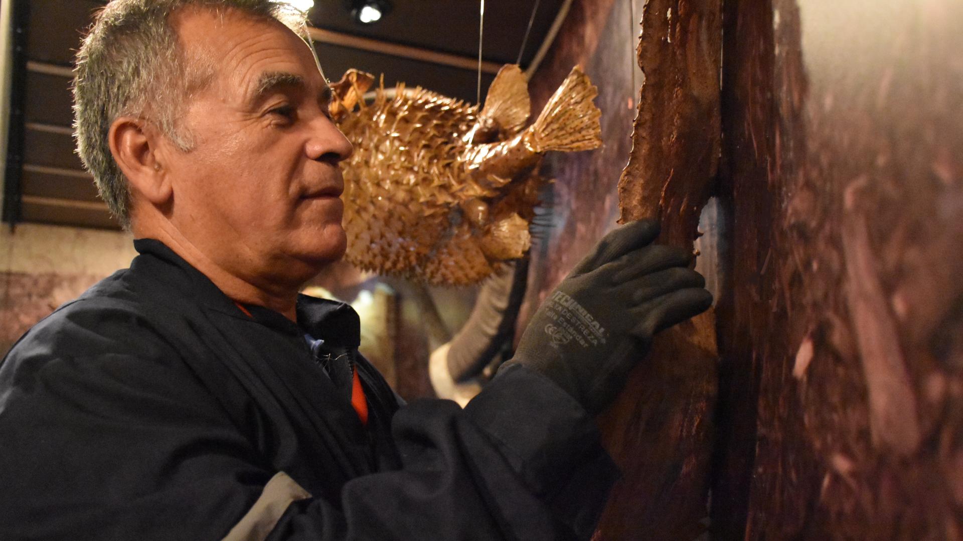 Juan Carlos Belmar, encargado de laboratorio, en el montaje de la exposición "Exótico, Salvaje y en Peligro".