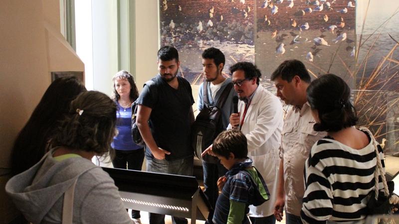 Visita guiada por la sala de exhibición "Río Aconcagua", del Museo de Historia Natural de Valparaíso.