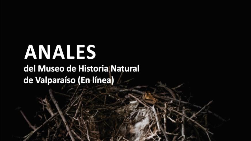 En este volumen 32 (2019) de la revista Anales, será la primera versión 100% digital y cuenta con la colaboración de 37 autores y autoras