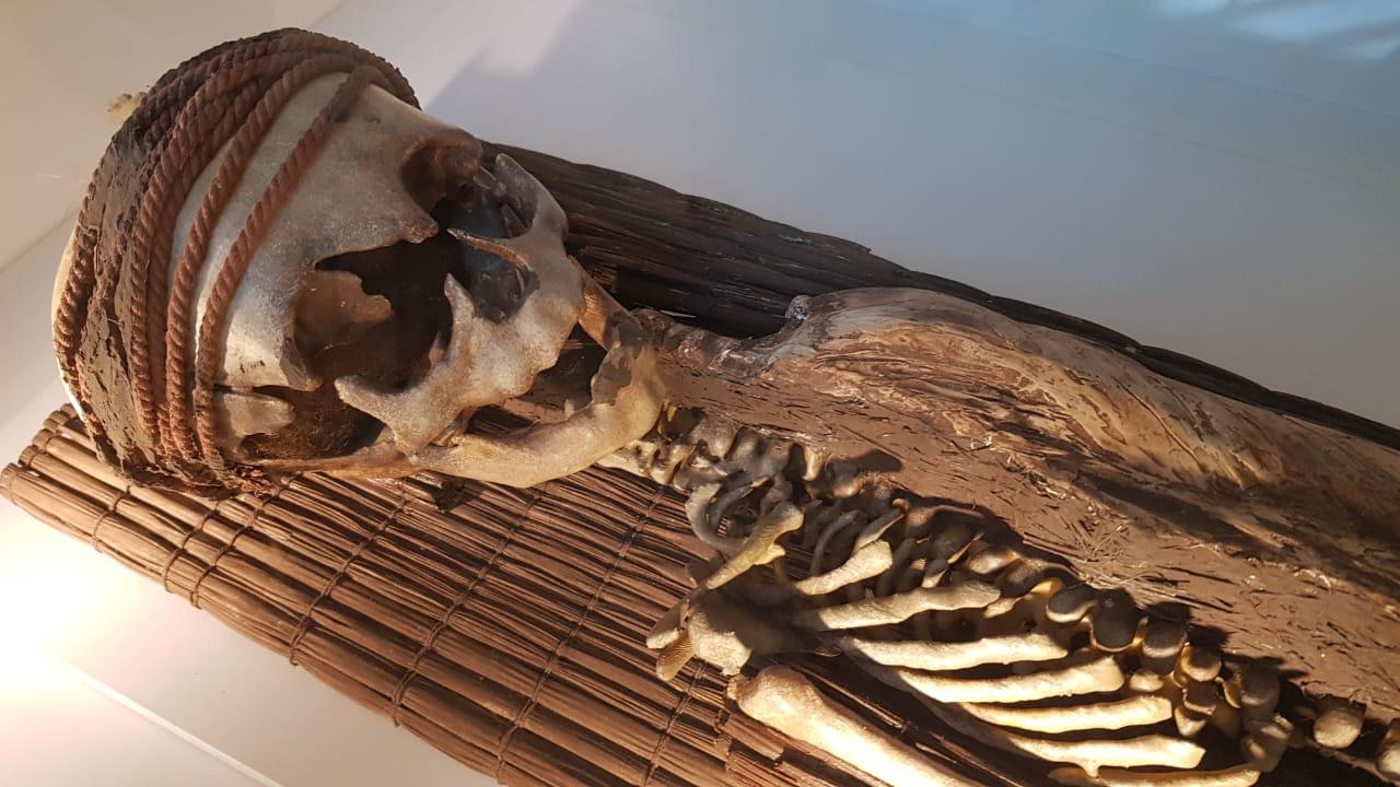 La muestra intinerante "Chinchorro trascender a la muerte" estará en el Museo de Historia Natural de Valparaíso hasta marzo del 2021.