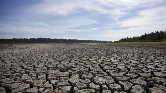 Actualidad de la Reserva Nacional del Lago Peñuela (fuente Emol)