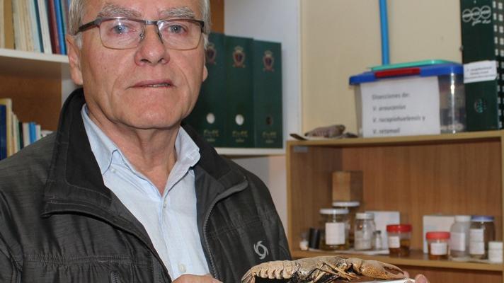 Dr. Erich Rudolph entrega al MHNV colección de Camarones de ríos. En Chile Samastacus spinifrons (Philippi 1882) recibe el nombre vernacular de "camarón de río". También se le suele llamar "camarón de río del sur".