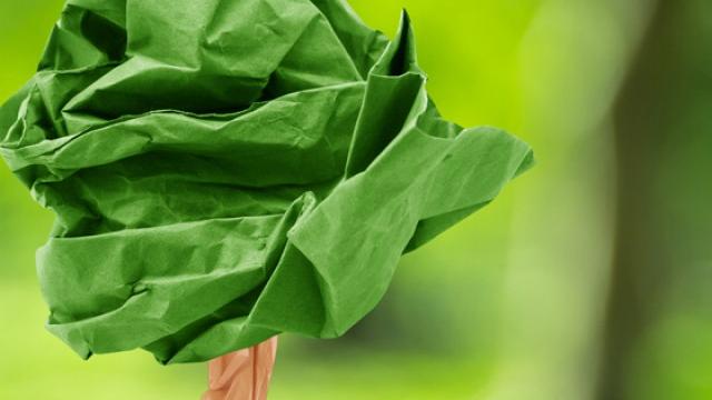 ¿Te animas a compartir tu conciencia verde?