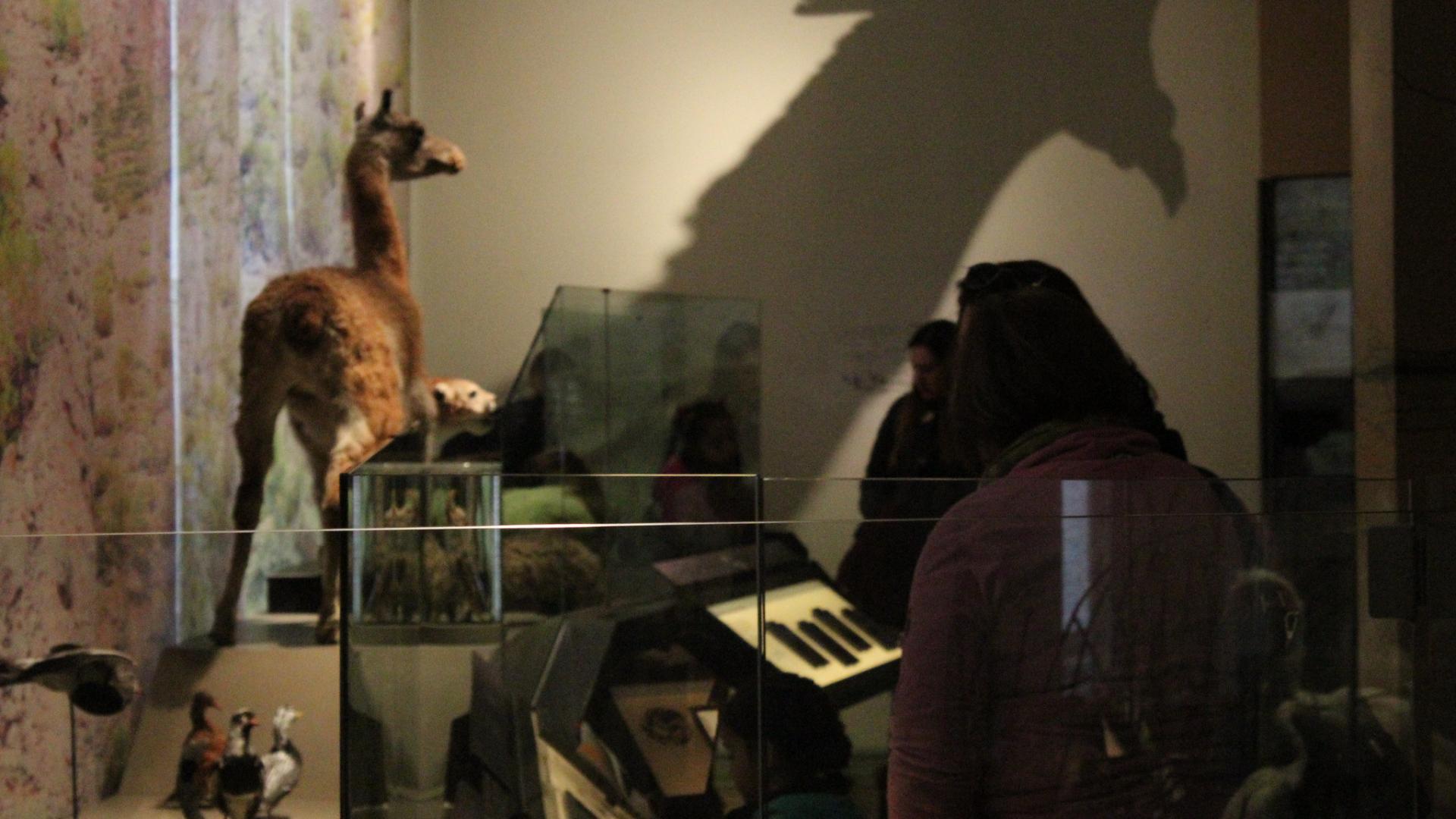 Nuestros visitantes disfrutando la exposición permanente de Sala Aconcagua.
