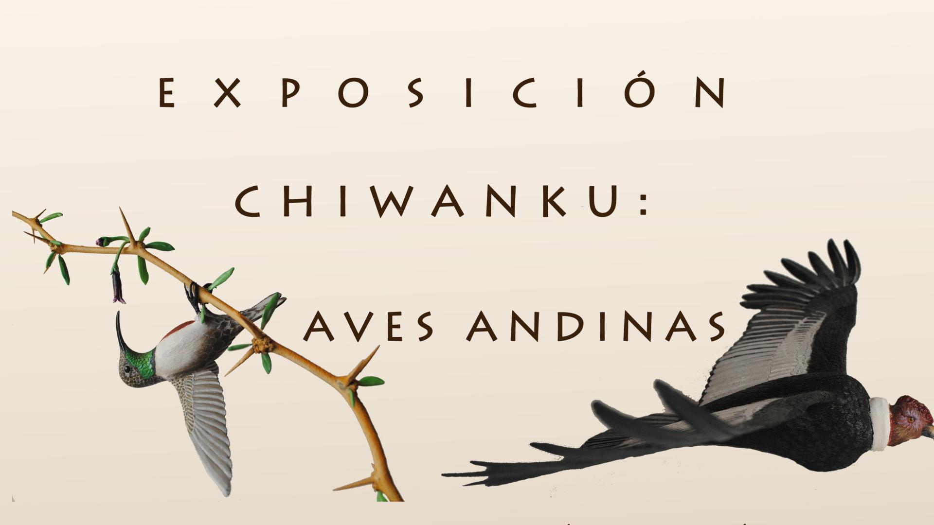 Chiwanku: Aves andinas, exposición de artesanía contemporánea