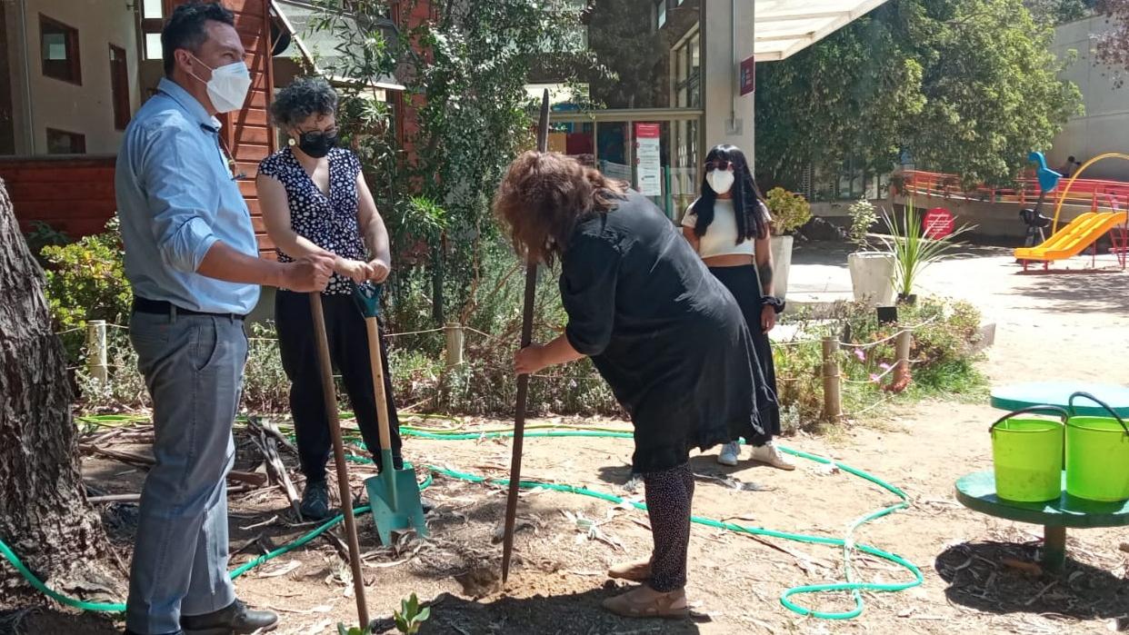 Taller colaborativo ¿Cómo construir un Herbario?