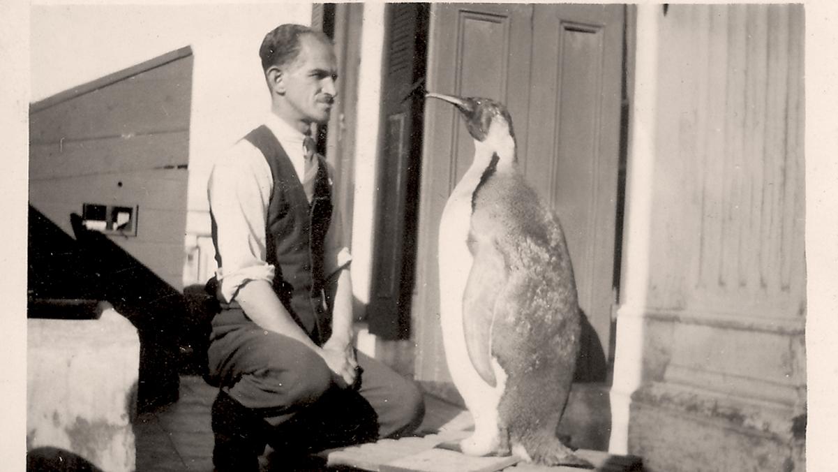 José Carpeneto observando su labor de taxidermia (un pingüino emperador)