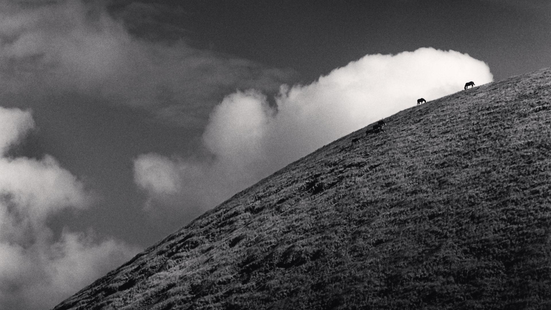 Rapa Nui a través de la mirada de Michael Kenna