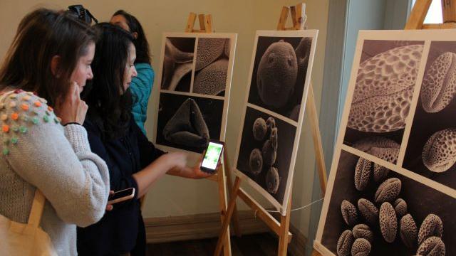 exposición fotografías del polen