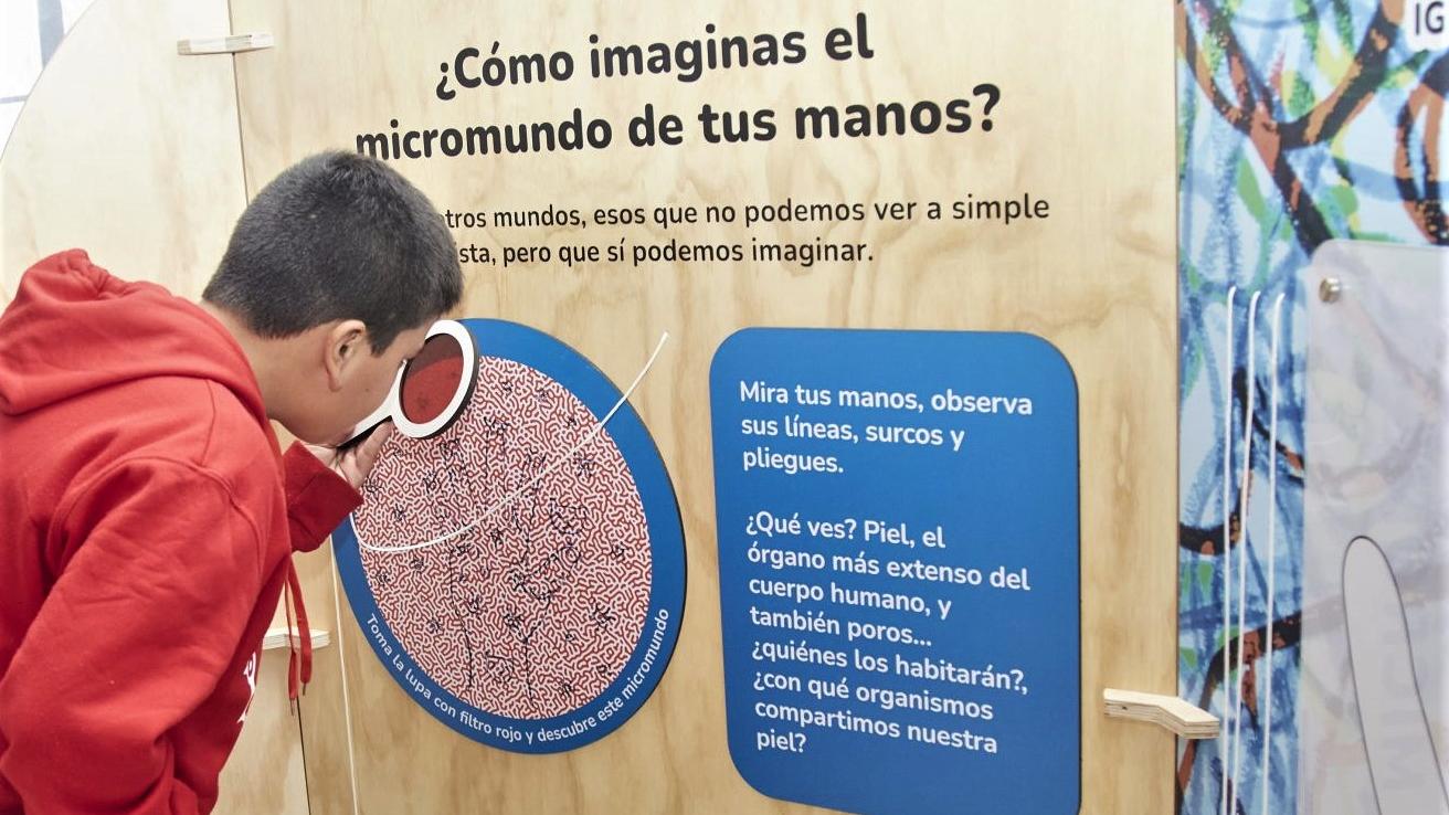 exposición micromundos