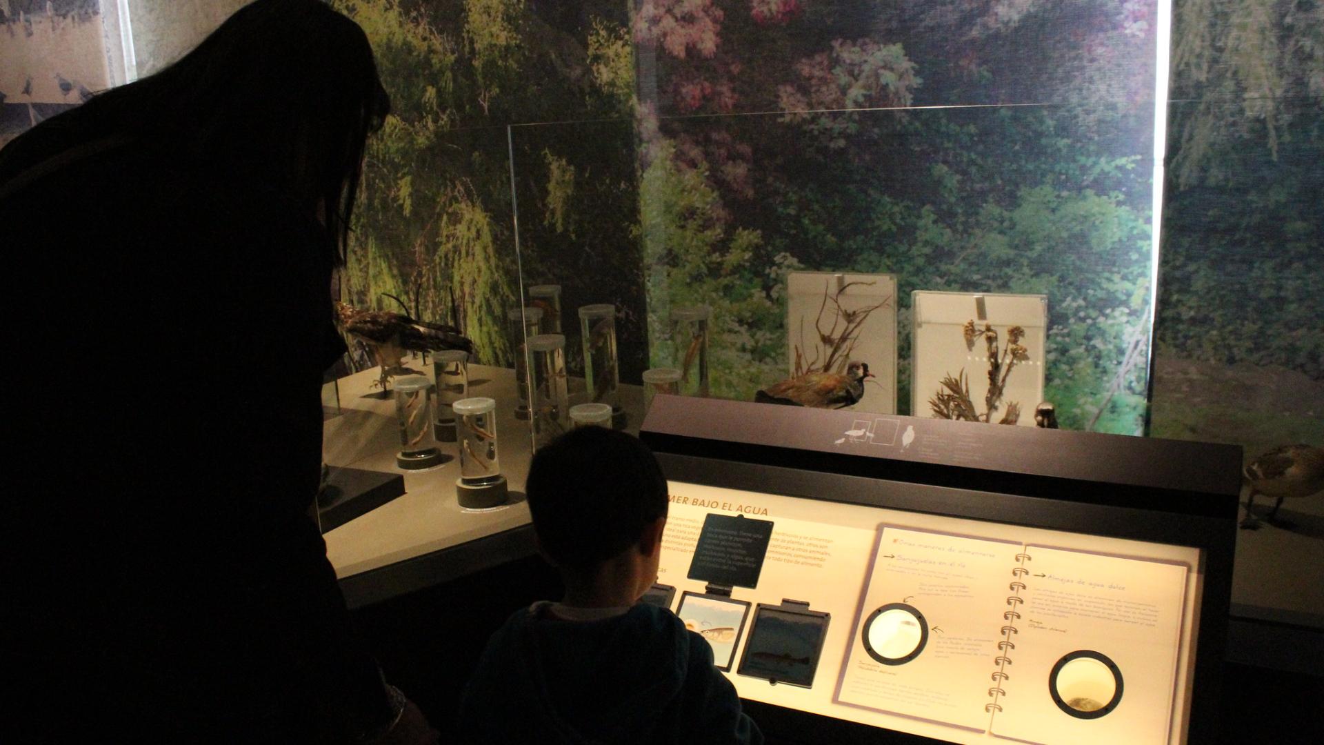 visitantes en el museo