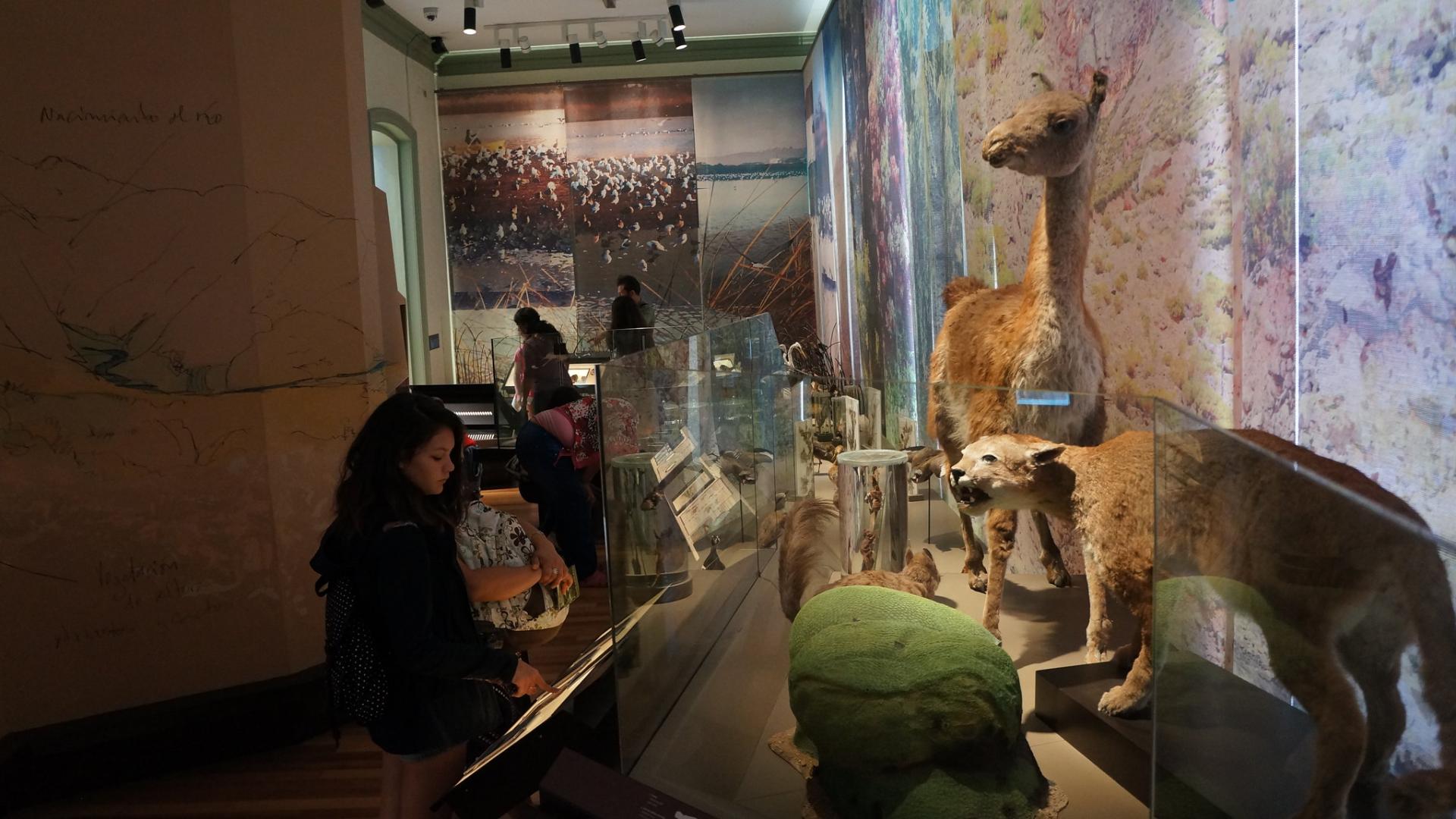 exposición permanente