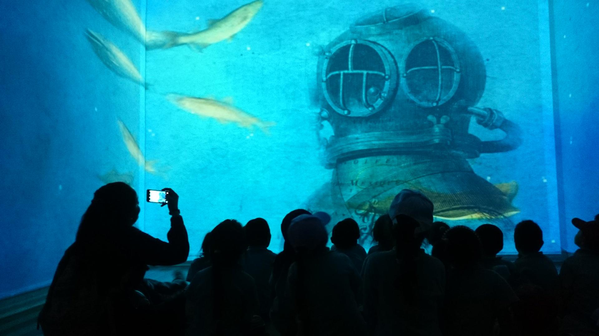 El Museo de Historia Natural de Valparaíso celebra un 2024 récord, con más de 105.000 visitas, lo que representa un aumento del 36% respecto al año anterior.