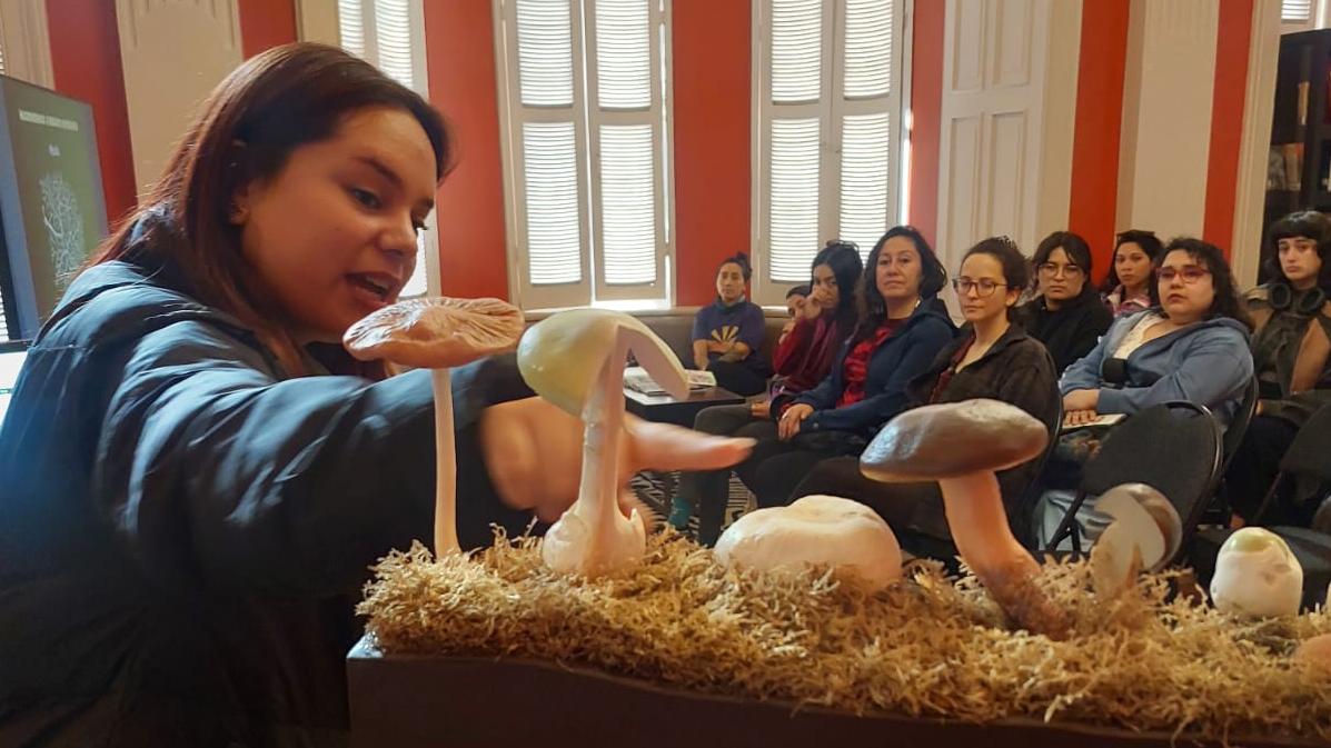 Charla mundo fungi