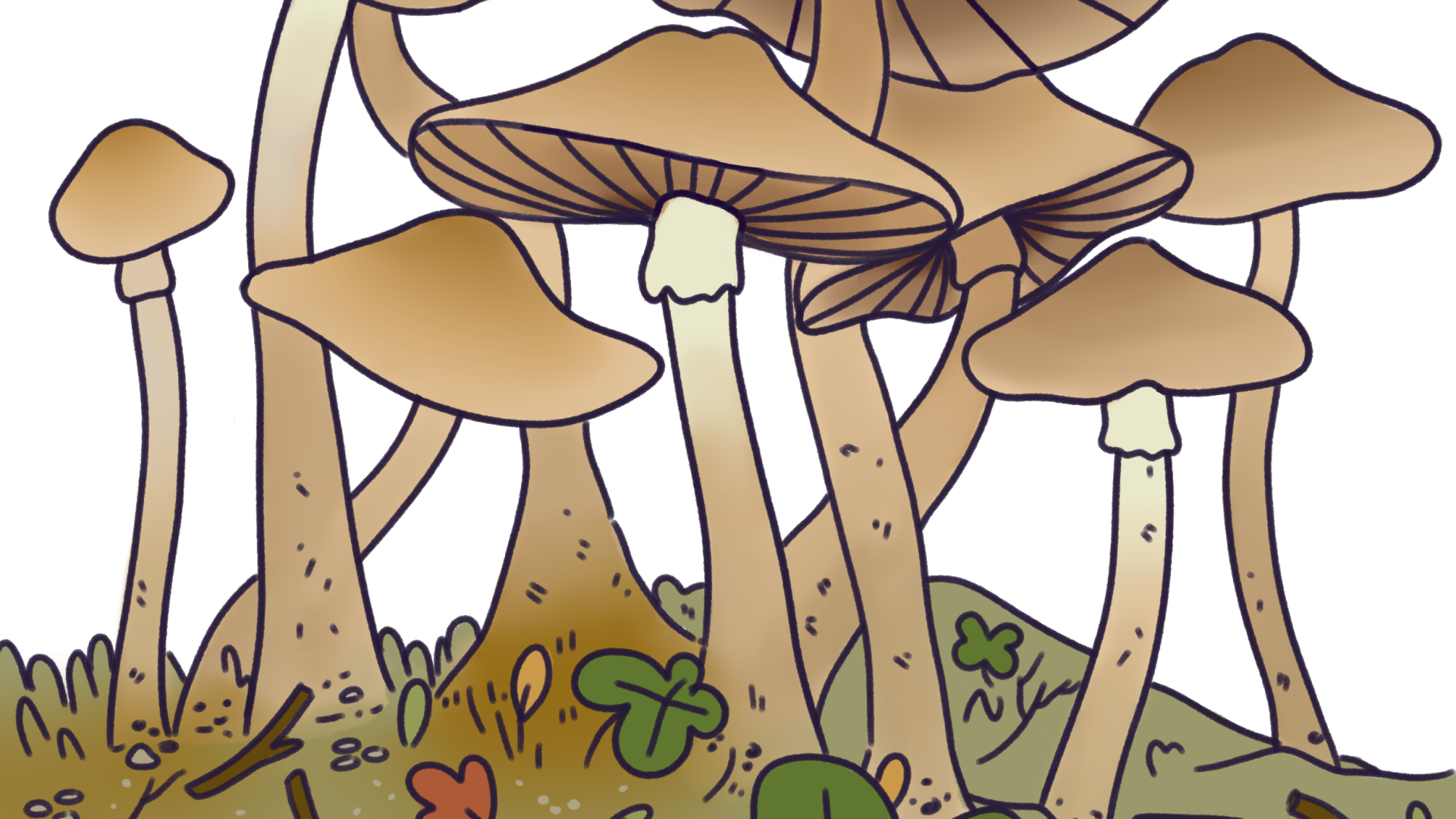 Hongos en el jardín botánico, ilustración _Psilocybe moelleri_