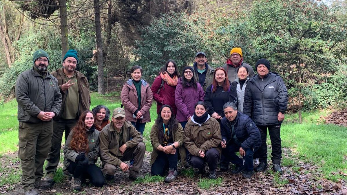 Museo + Fungi: Museo de Historia Natural de Valparaíso y Jardín Botánico de Viña del Mar comparten jornada de formación sobre el reino fungi