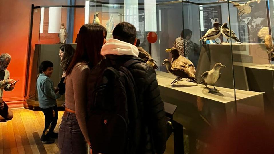 recorrido de visitantes en el museo