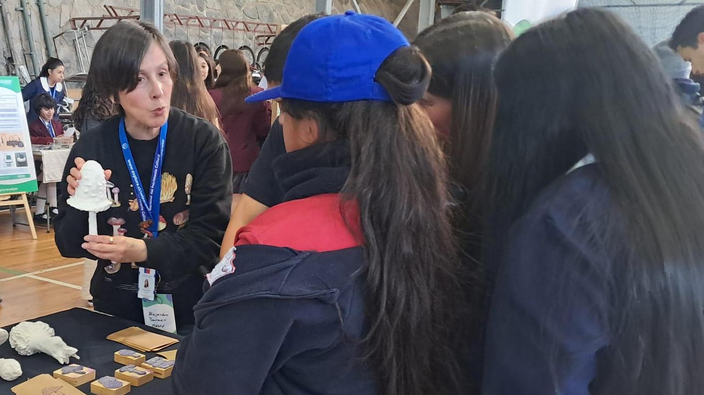 educación ambiental
