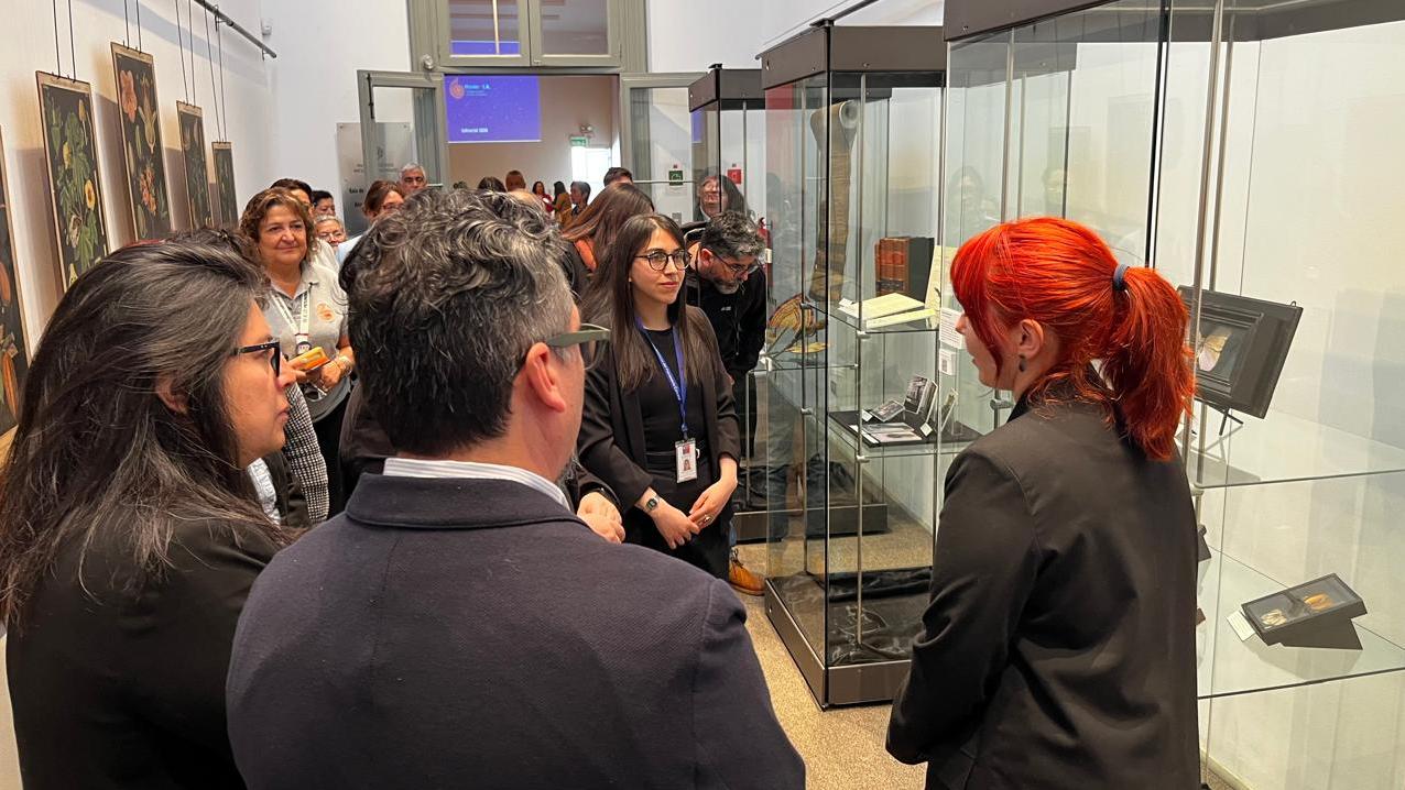 exposición de colecciones