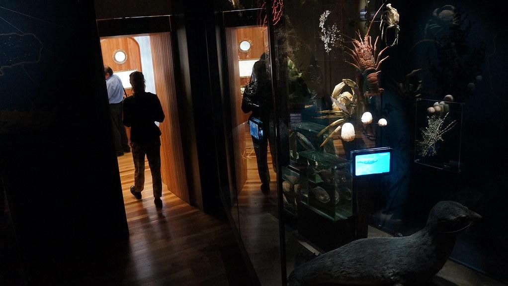 Octubre, mes aniversario Museo de Historia Natural de Valparaíso