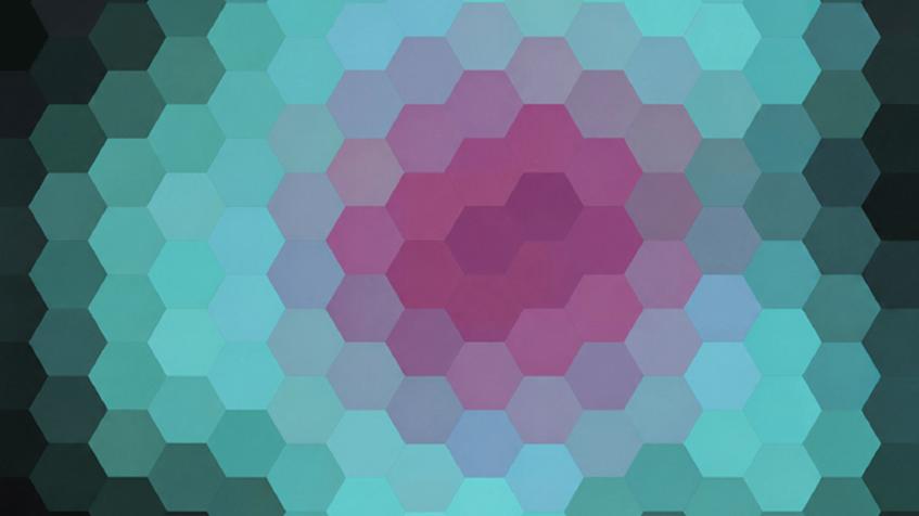 visión de abeja