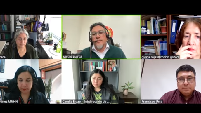 seminario colecciones