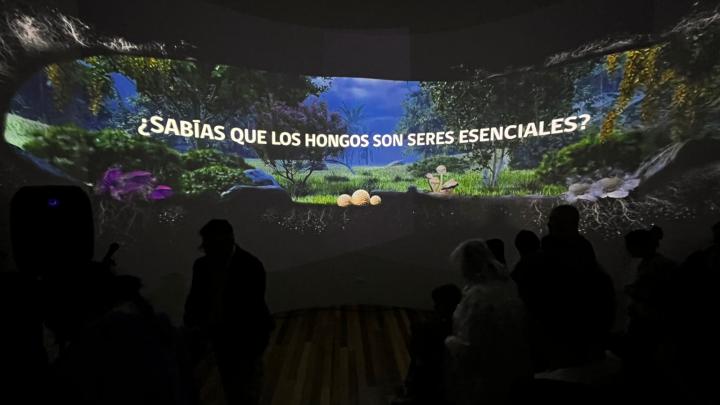 sala museo experiencia