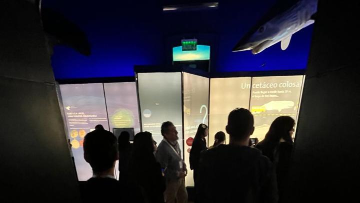 stem+ visita internacional