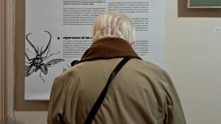 exposición pinturas 
