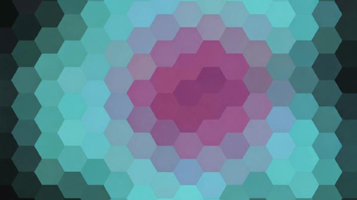 visión de abeja