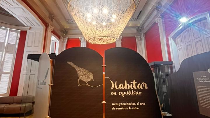 Exposición 