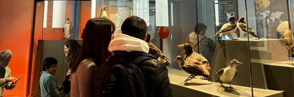 recorrido de visitantes en el museo