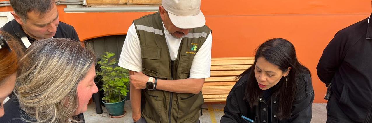 vermicompostera en el museo