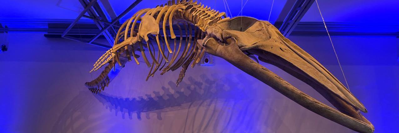 Día Mundial de la Educación Ambiental