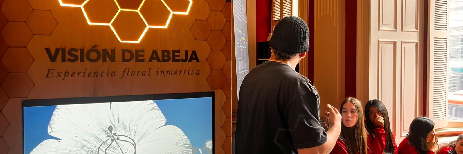 visión de abeja grupos visitantes