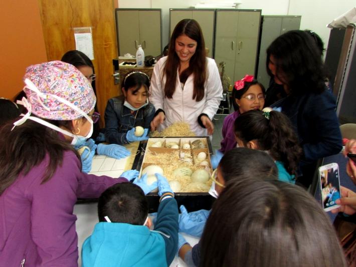 Descubriendo colecciones de biología MHNV