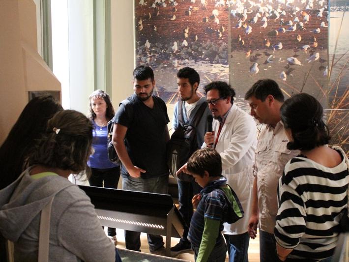 Sergio Quiroz, Curador Jefe del MHNV, realiza una visita guiada por la sala río Aconcagua, de la exhibición permanente "Biodiversidad de la región central"