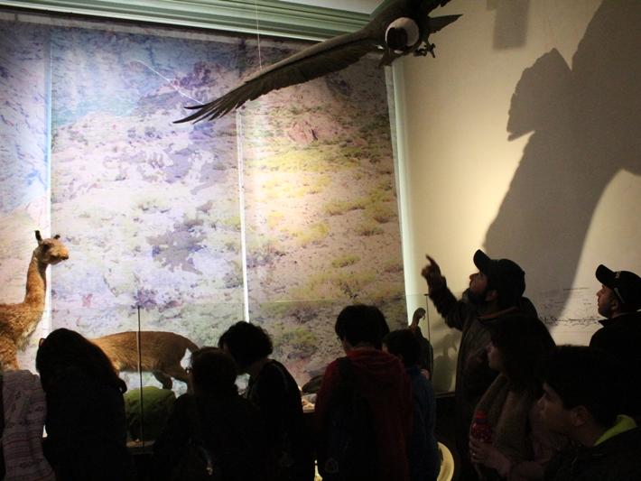 Noche de Museos: Recorrido por la exposición permanente, sala Río Aconcagua, MHNV.