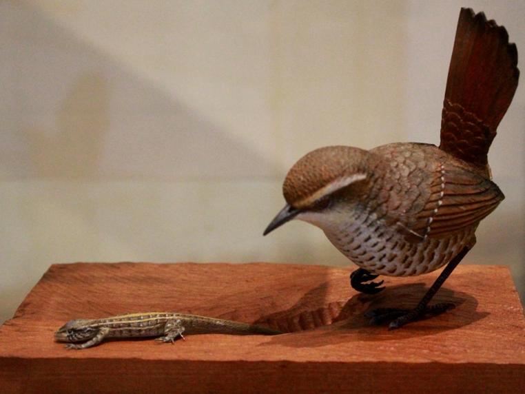 Chiwanku Endémico. Muestra  de artesanía contemporánea de los realizadores Tomás Elgueta y Colomba Elton